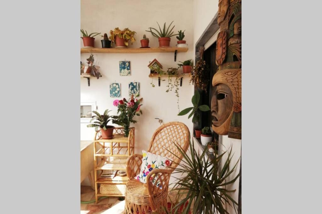 דירות Bamboo House אלג'זור מראה חיצוני תמונה